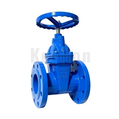 What is nrs gate valve What is nrs gate valve