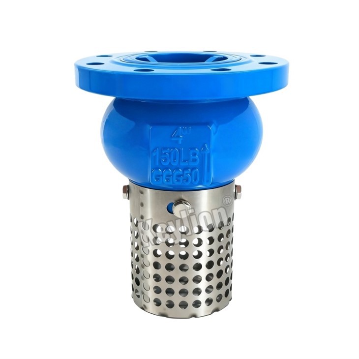 Foot Valve Flange Type 